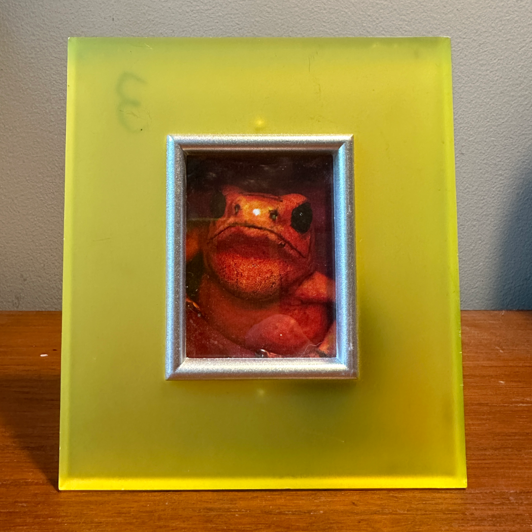 Solo Pet Portrait - Small