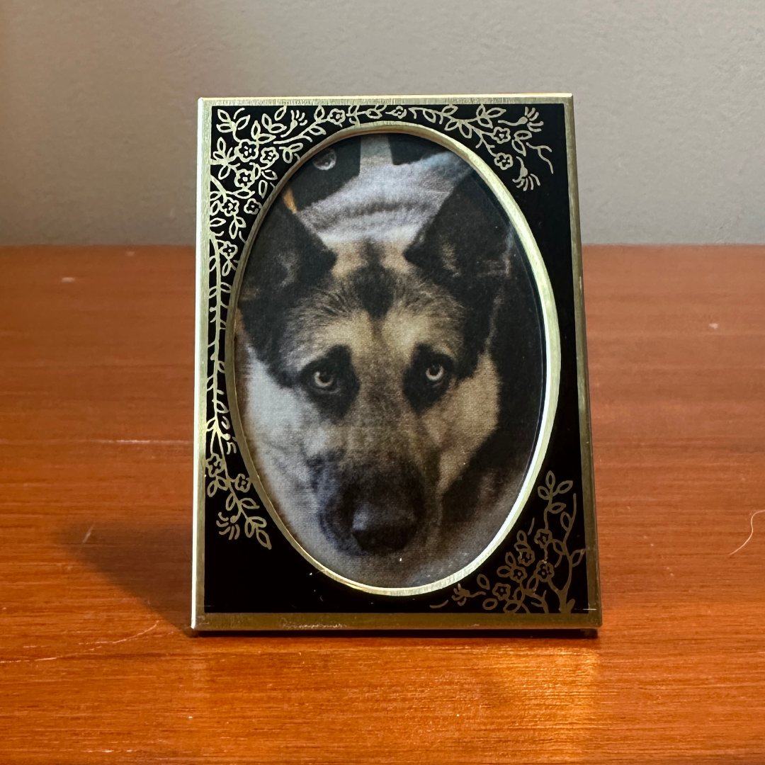 Solo Pet Portrait - Mini