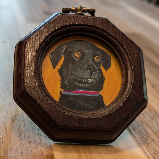 Solo Pet Portrait - Mini