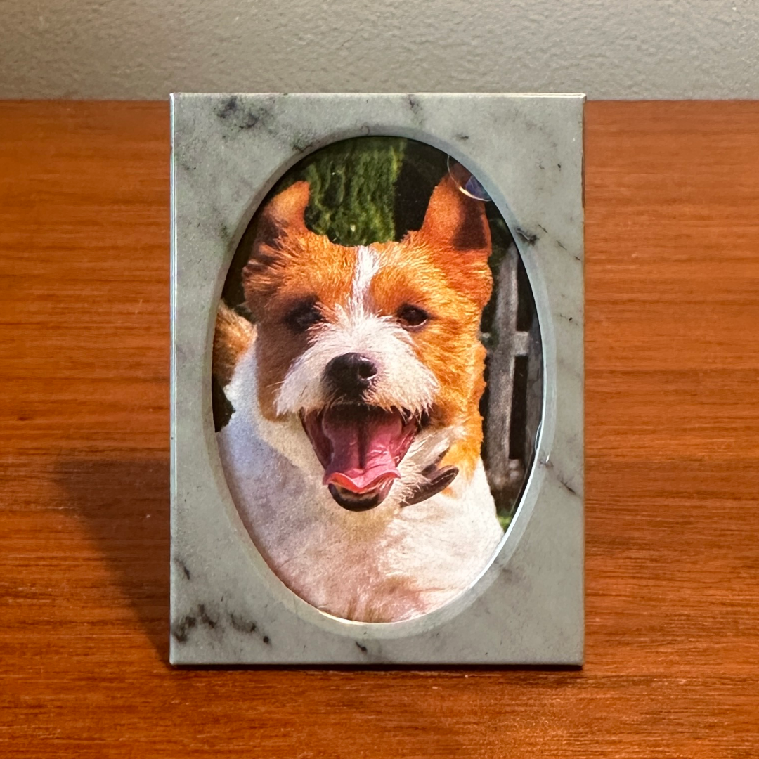 Solo Pet Portrait - Mini