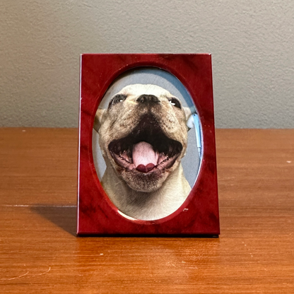 Solo Pet Portrait - Mini