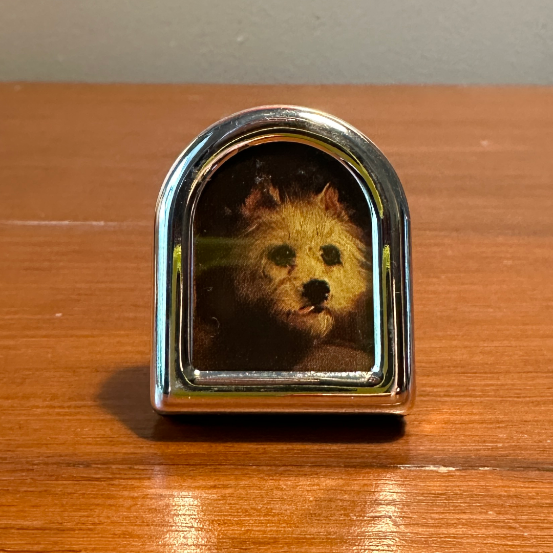 Solo Pet Portrait - Itty Bitty