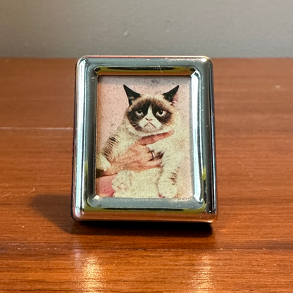 Solo Pet Portrait - Itty Bitty