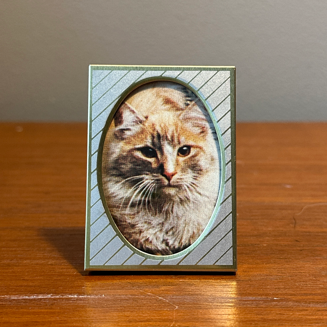 Solo Pet Portrait - Mini