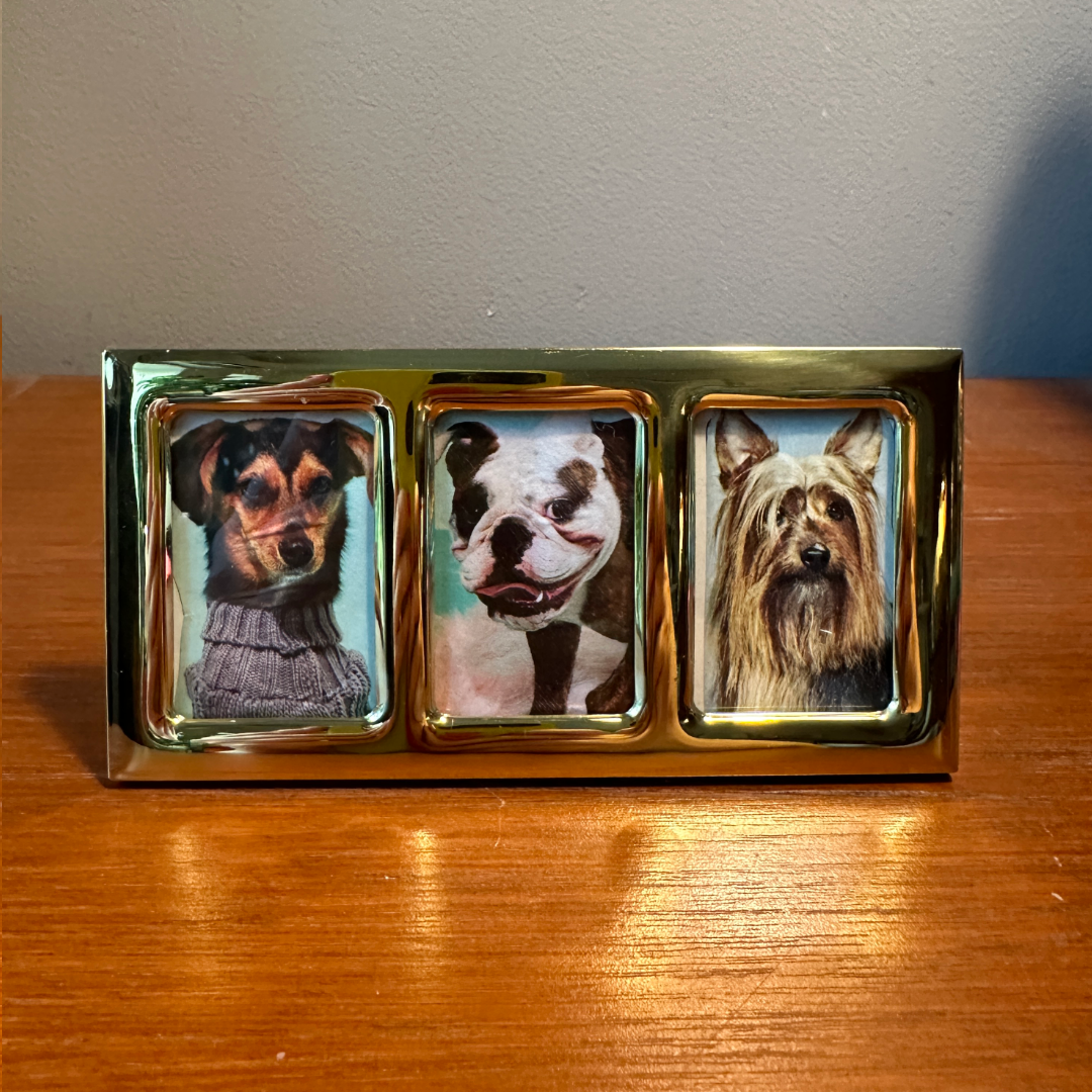 Trio Pet Portrait - Mini *Reserved*