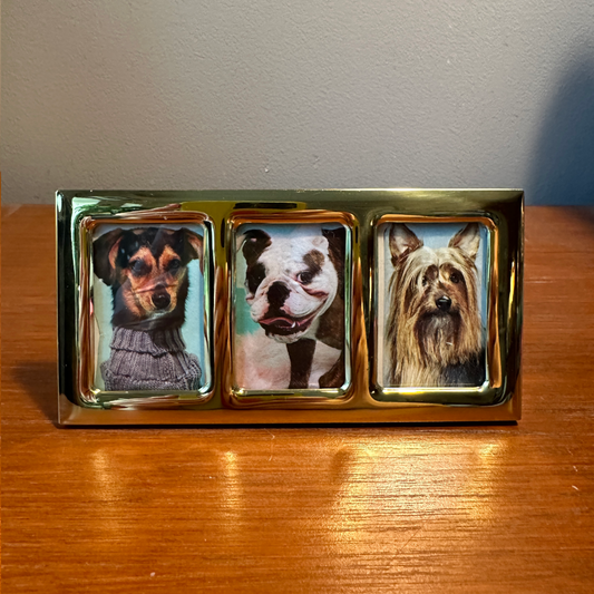 Trio Pet Portrait - Mini *Reserved*